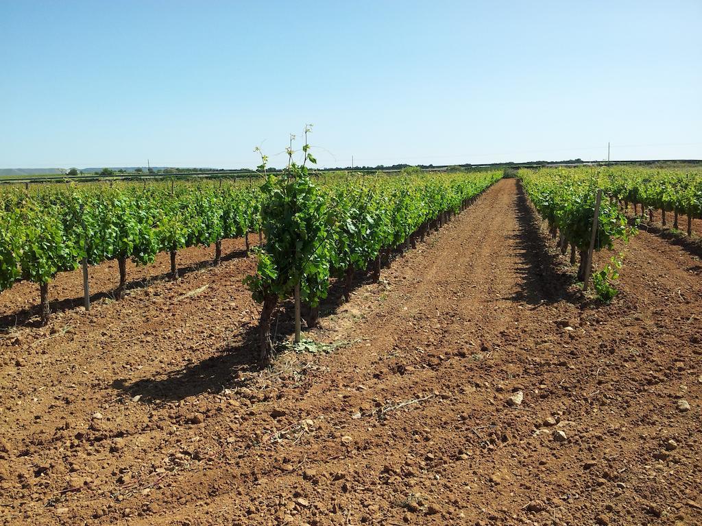 Casa Rural Sarmiento Cubillas de Santa Marta Εξωτερικό φωτογραφία